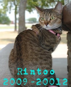 RIP rintoo_phixr Rintoo - 2009-2012